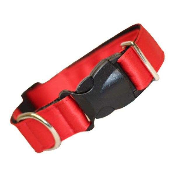 Coleira para Cachorro Vermelha - Image 5