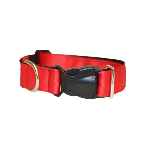 Coleira para Cachorro Vermelha